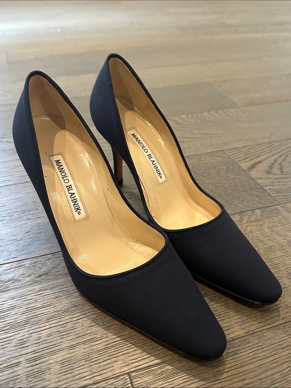 Manolo Blahnik Pointed Toe Pump